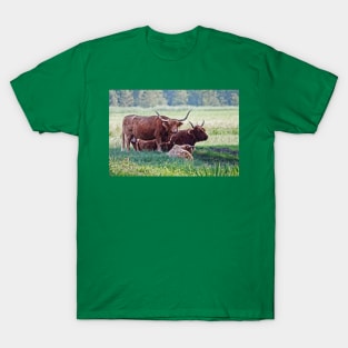 Highland cattle cows family on pasture T-Shirt